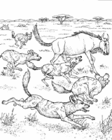 A coloring page of nature in africa
